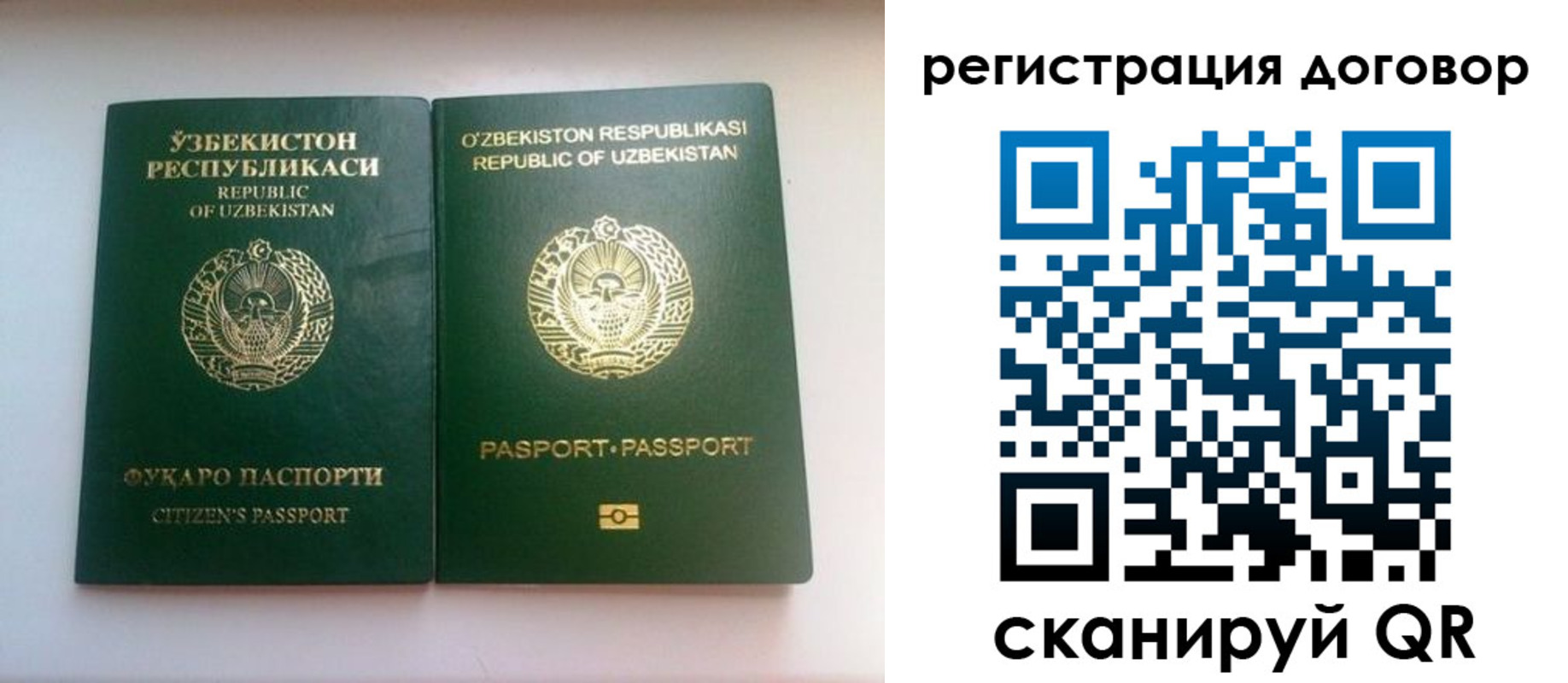 прописка в Тавде